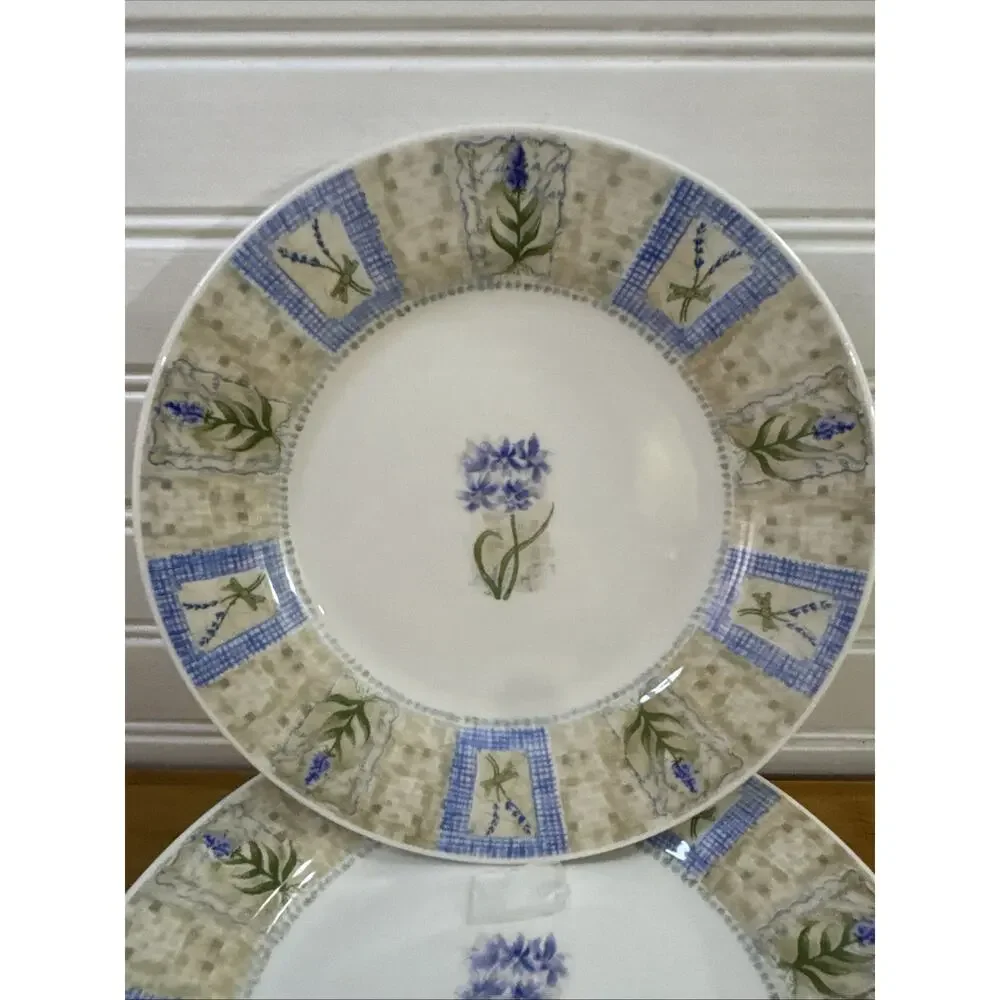 Set of 4 Pier 1 Imports Hydrangea Angleterre England 8